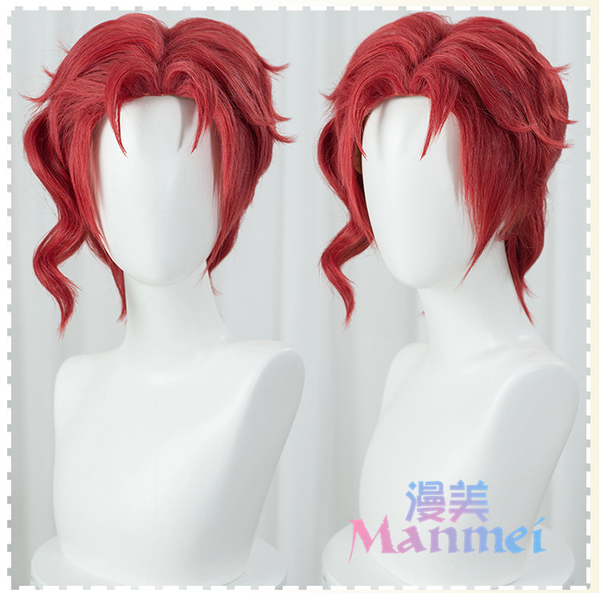 Manmei Wigs: Jojo Bizarre Adventure: Dio Jotaro Trish Noriaki Jolyne Cosplay Wigs Authentic Manmei Brand Anime Game